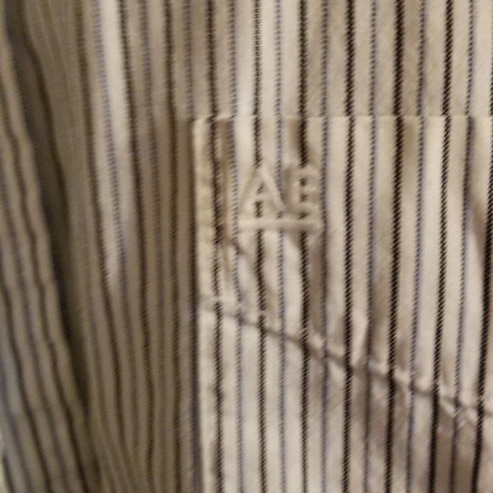 American Eagle Large - image 3